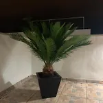 Apartmanhotel Rosaura Las Palmas de Gran Canaria