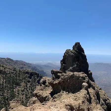 Rosaura Las Palmas de Gran Canaria