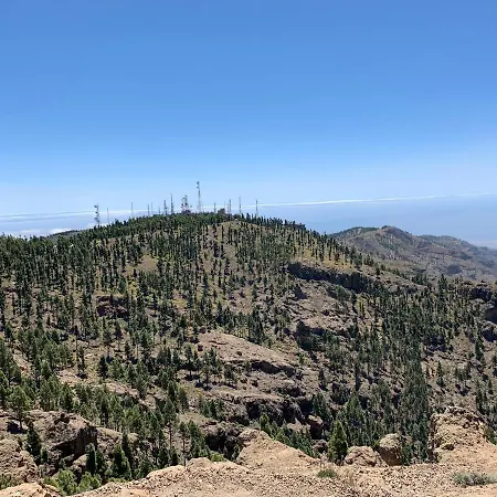 Rosaura * Las Palmas de Gran Canaria