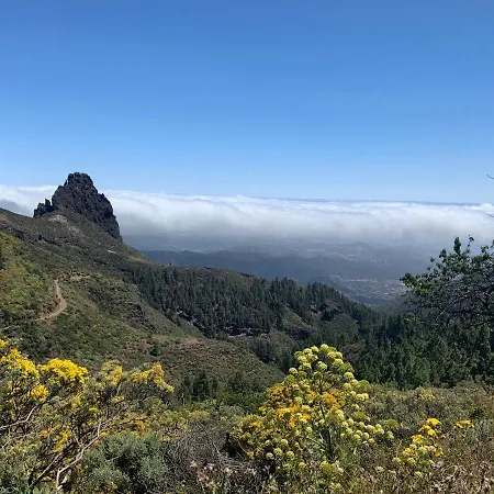 Rosaura Las Palmas de Gran Canaria