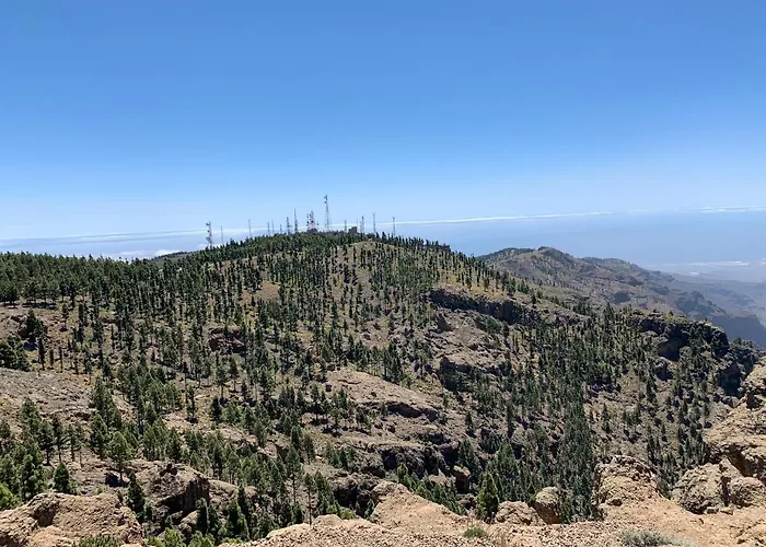 Rosaura 3* 라스팔마스