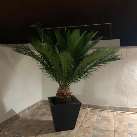 Lejlighedshotel Rosaura Las Palmas de Gran Canaria