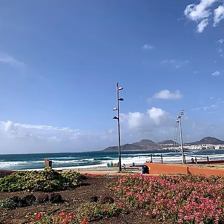 Rosaura