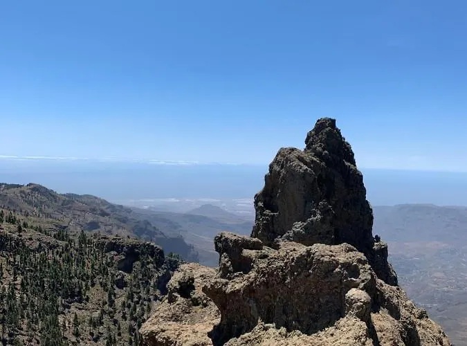 Rosaura Las Palmas de Gran Canaria