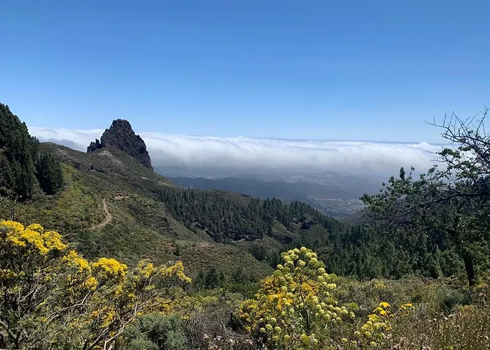 Rosaura Las Palmas de Gran Canaria