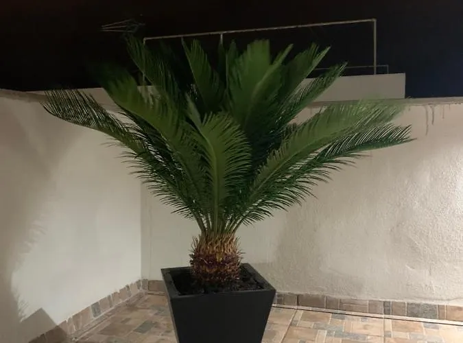 Aparthotel Rosaura Las Palmas de Gran Canaria