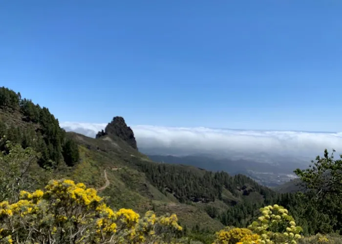 Aparthotel Rosaura Las Palmas de Gran Canaria